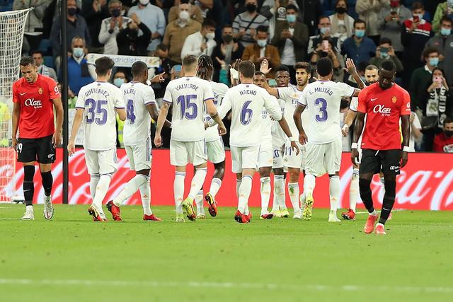 比利时首相的爱猫发帖讽刺FIFA：“红牌？”我照样继续踢！